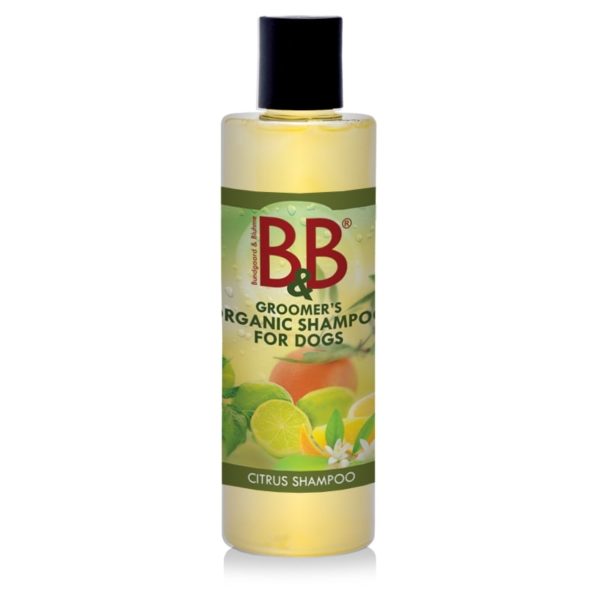 B&B Citrus shampoo